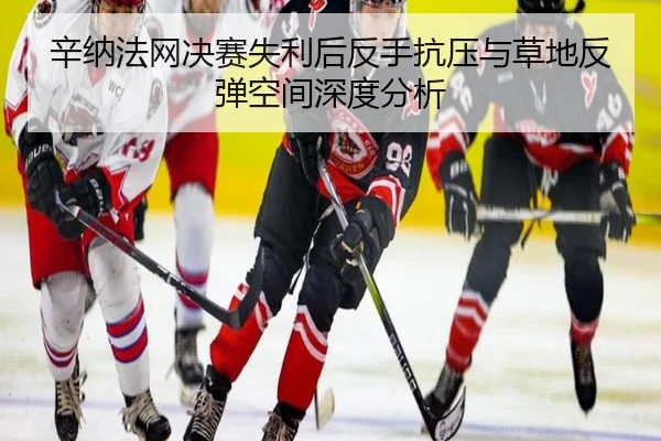 辛纳法网决赛失利后反手抗压与草地反弹空间深度分析